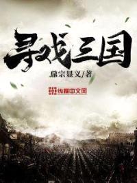 寻戏三国封面