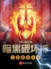暗黑破坏神之我是奈非天封面