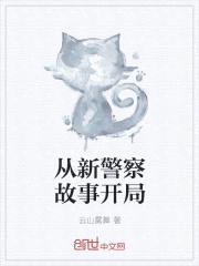 从新警察故事开局封面