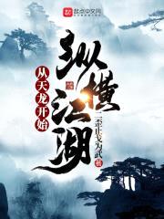 从天龙开始纵横江湖封面