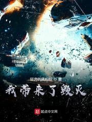 我带来了毁灭封面
