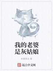 我的老婆是灰姑娘封面