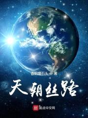天朝丝路封面