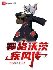 霍格沃茨疾风传封面