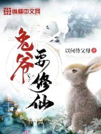 兔爷要修仙封面
