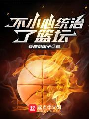 不小心统治了篮坛封面