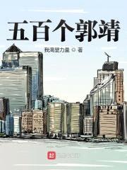 五百个郭靖封面