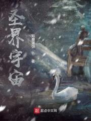 圣界宇宙封面