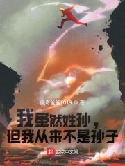 我虽然姓孙，但我从来不是孙子封面