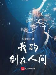 剑道圣路封面