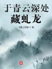 于青云深处藏虬龙封面
