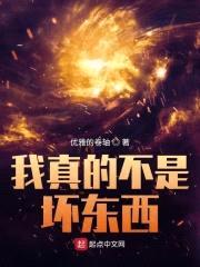 我真的不是坏东西封面