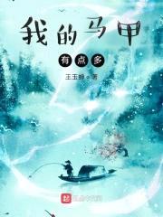 我的马甲有点多封面