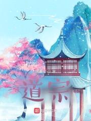 道宗封面