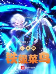开局黑铁级菜鸟封面