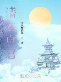 清玄真君封面