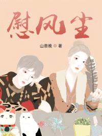 慰风尘封面