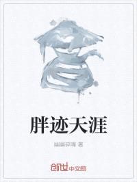 胖迹天涯封面