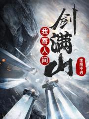 我寄人间剑满山封面