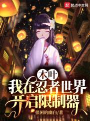 木叶：我在忍者世界开启限制器封面
