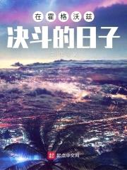 在霍格沃兹决斗的日子封面