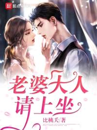 老婆大人请上坐封面