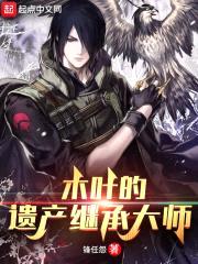 木叶伪君子封面