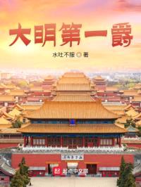 大明第一爵封面