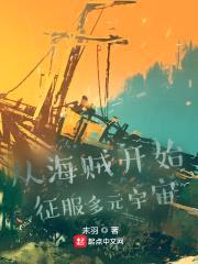 从海贼开始征服多元宇宙封面