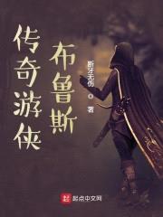 传奇游侠布鲁斯封面
