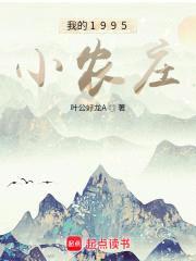我的1995小农庄封面