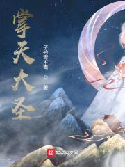 掌天大圣封面