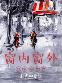 窗内窗外：分割的世界封面