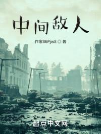 中间敌人封面