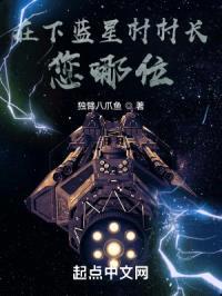 在下蓝星村村长，您哪位？封面