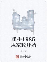 重生1985从家教开始封面