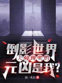 倒影世界入侵现实的元凶是我？封面