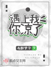 遇上我你凉了封面