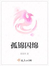 孤锦囚绵封面