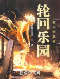 轮回乐园的元素武者封面