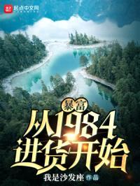 暴富，从1984进货开始封面