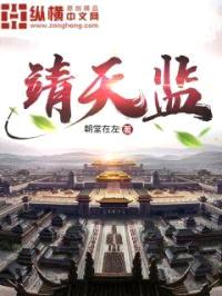 靖天监封面