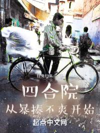 四合院：从暴揍不爽开始封面