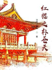 红楼之补苍天封面