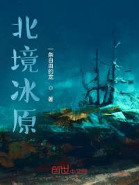 北境冰原封面