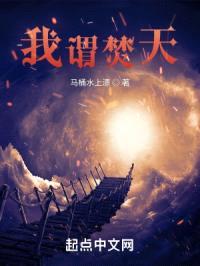 我谓焚天封面