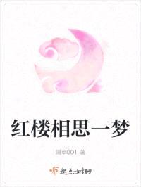红楼相思一梦封面