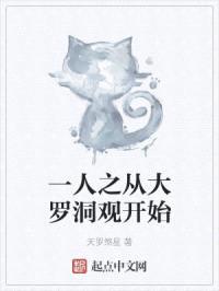 一人之从大罗洞观开始封面