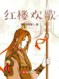 红楼欢歌封面