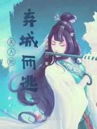 夫人她弃城而逃封面